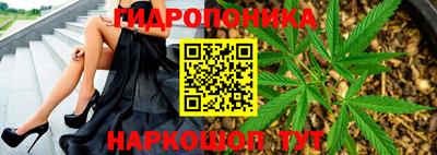 a pvp Лесосибирск