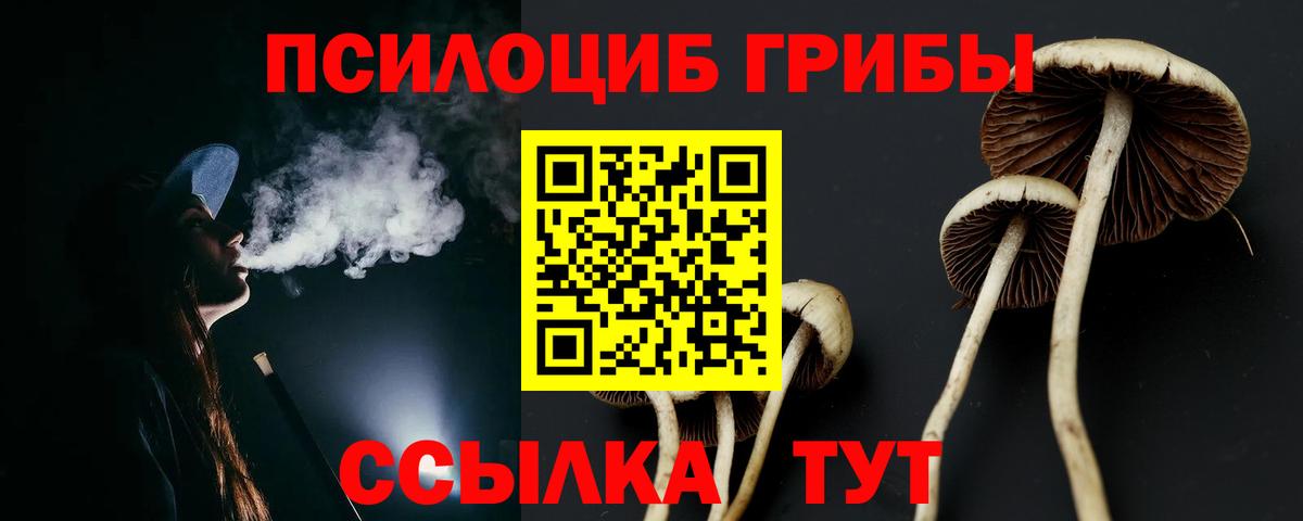 продажа наркотиков  Вход с VPN  Туапсе  Псилоцибиновые грибы Psilocybe 